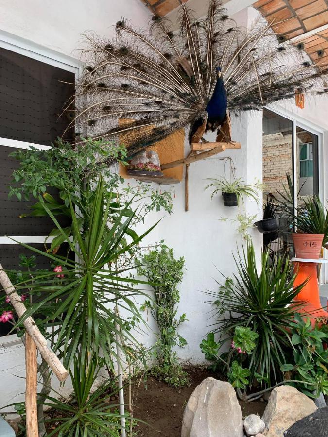 Bungalows Las Palomas ริงกอน เด กัวยาบิโตส ภายนอก รูปภาพ